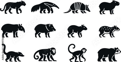 Tableau sur toile Set of black and white silhouettes of South American jungle animals