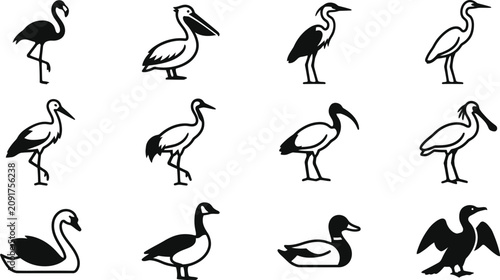 Foto Collection of various water bird silhouettes and icons.