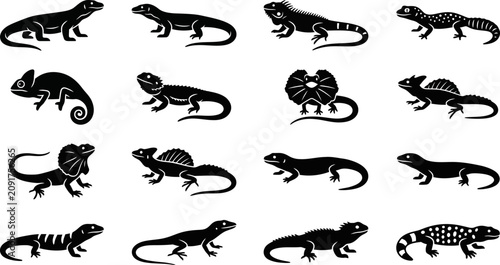 Fotografie Set of various lizard silhouettes collection.