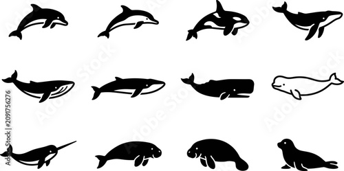 Bild auf Leinwand Set of various sea animal silhouettes and icons.