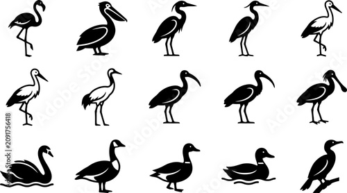 Foto Collection of various water bird silhouettes and icons.