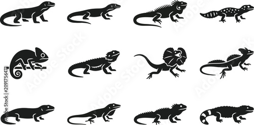 Foto Collection of black lizard and reptile silhouettes in various poses