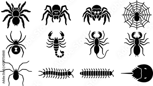 Canvastavla Set of black spider and arachnid silhouette icons.