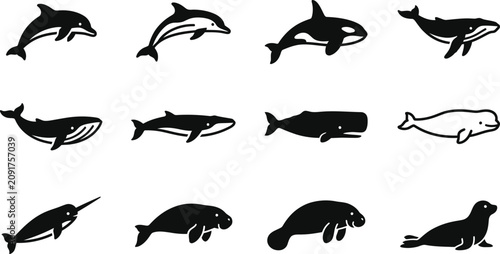 Canvastavla Collection of various marine mammal silhouettes and aquatic creatures