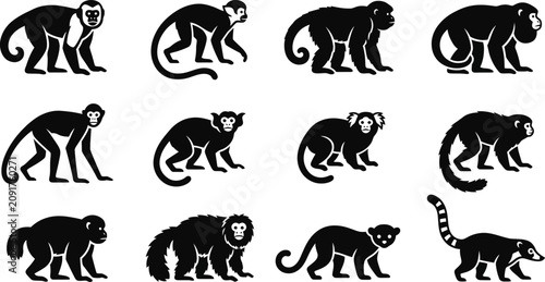 Obraz na płótnie Collection of various monkey and primate species silhouettes.
