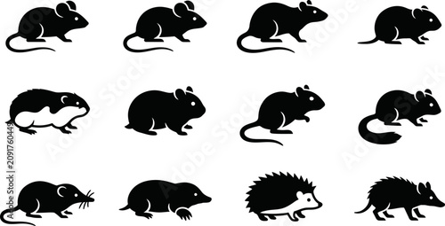 Photos Set of black silhouettes representing small rodents and wild animals
