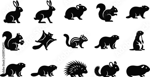 Obraz na płótnie Set of black silhouettes of various small forest animals and rodents