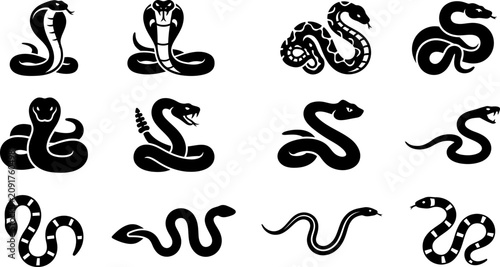 Obraz na plátně Set of black and white snake icons and silhouettes.