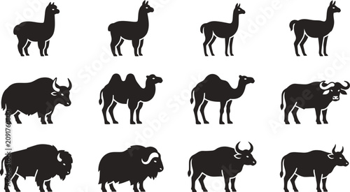 Slika na platnu Set of silhouettes of llamas camels and buffalo animals.