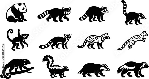 Photography Set of Various Wild Animals Silhouettes Icons.