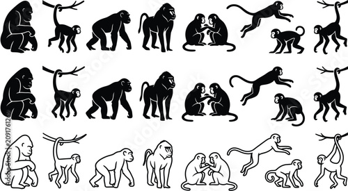 Photography Monkey, ape, animal icons, 20 black and white vector silhouettes, illustrations