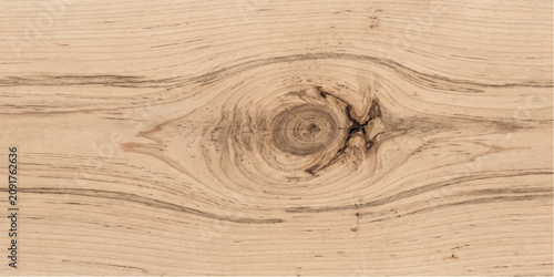 Εκτύπωση καμβά Close-up of a wood grain texture with a prominent knot, showcasing the natural pattern and organic lines of the material