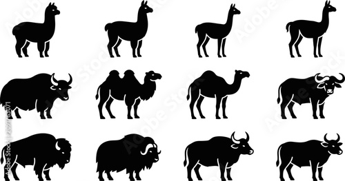 Foto Set of black silhouettes of llamas camels yaks and buffalos.