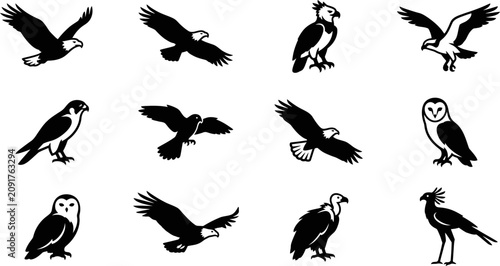 Canvastavla Set of silhouettes of various predatory birds including eagles owls and hawks