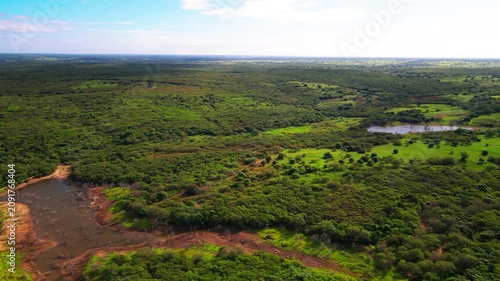 Cinematic Drone Flight Over Lush Countryside and Forest in Lagoa do Mel Brazil