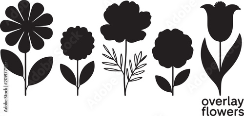 A Collection of Decorative Botanical Floral Silhouettes Featuring Diverse Garden Flower Shapes Isolated on a Plain White Background Design Element