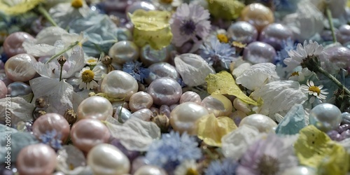 Macro flat lay of multicolor freshwater pearls scattered among wildflower petals filling entire frame varied pastel tones