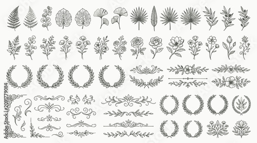 Hand drawn botanical elements and decorative floral wreaths set