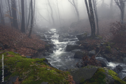 Dark and moody misty forest stream in deep forest