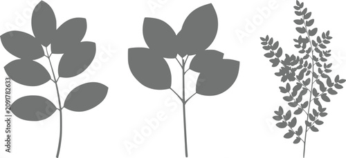 Fényképezés A collection of three distinct botanical leaf silhouettes isolated on a plain wh
