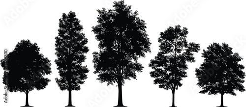 Obraz na płótnie Variety of silhouetted deciduous trees collection isolated on white background