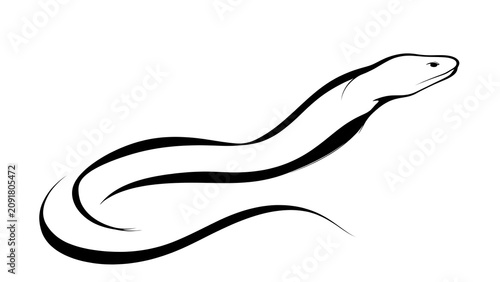 Elegant snake illustration on white background.