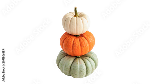 Quadro su tela Stack of colourful assorted autumn harvest pumpkins squashes isolated on a trans