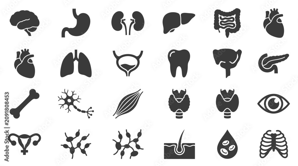 Fototapeta premium Human Organs and Anatomy Icon Set Flat Vector Illustration