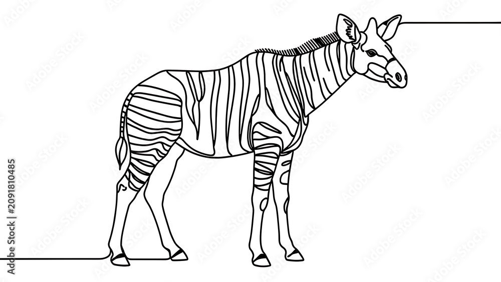 Obraz premium Zebra line art illustration white background.