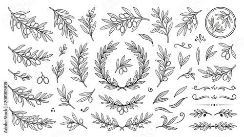 Olive Branch Illustrations: Hand-Drawn Wreath, Sprigs, Leaves, and Olives