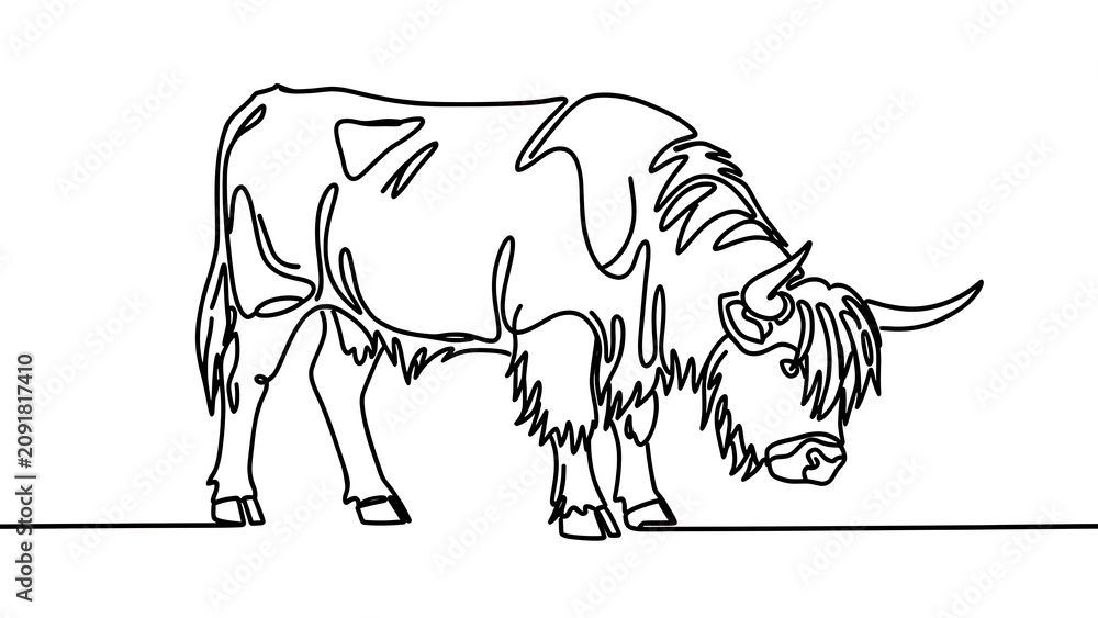 Fototapeta premium Line drawing of a yak on white background.