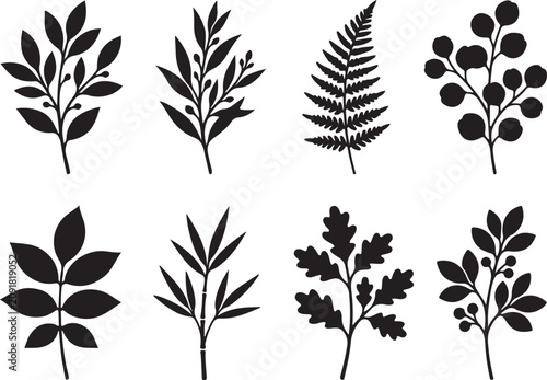 Black leaf, branch, and fern silhouettes, vector icons set