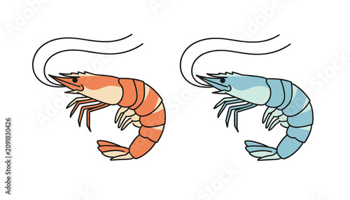 Pair of side view prawn illustrations showing one orange and one blue crustacean with long feelers isolated on a white background space.
