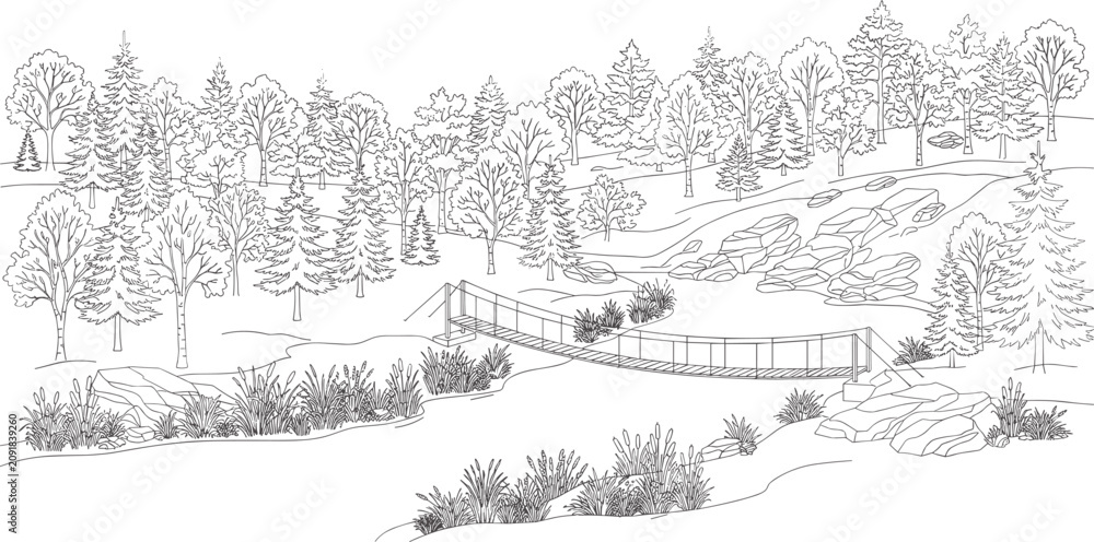 Fototapeta premium Forest Landscape Line Art with Suspension Bridge River and Woodland Trees Vector Illustration for Nature Designs