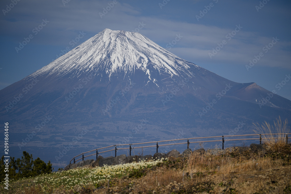 Obraz premium 富士山の見える公園