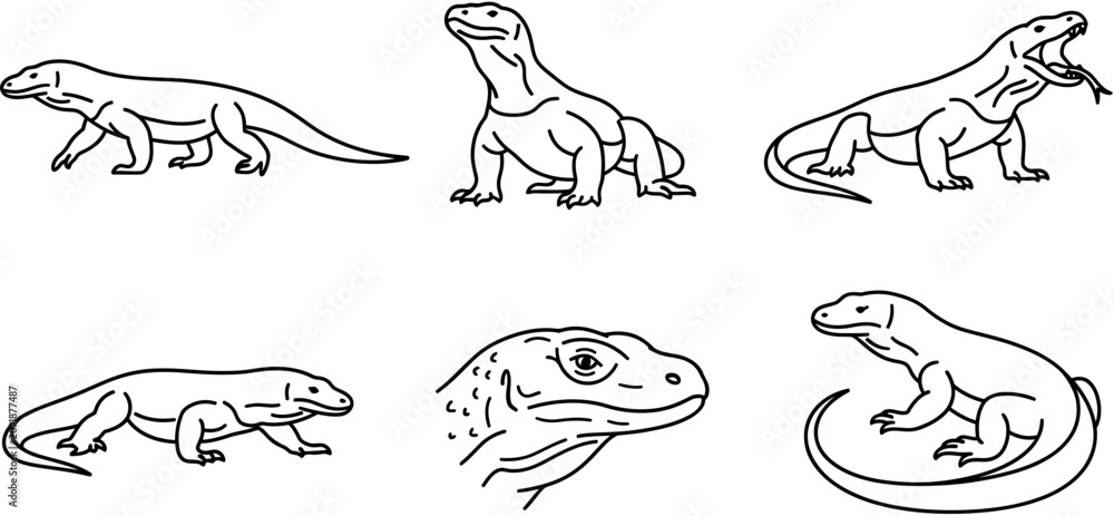 Obraz premium Komodo Dragon Line Art Icon Set, Monitor Lizard Outline Illustration Collection Isolated on White Background