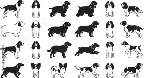 Fotografie Professional vector icon set of spaniel dog breeds in various poses and silhouet