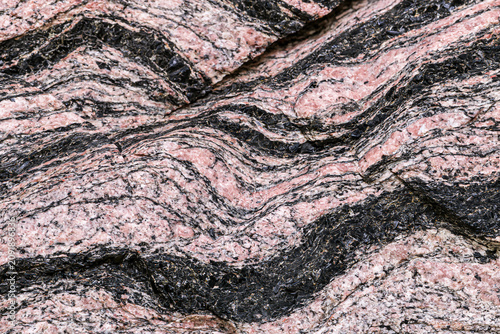 Photos Wavy Pattern of Pink and Black Gneiss Metamorphic Rock