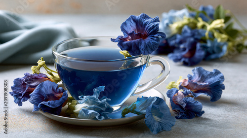 Butterfly pea flower tea in vivid blue glass highlighting Thai medicinal herb antioxidant healthy aging wellness and minimal aesthetic