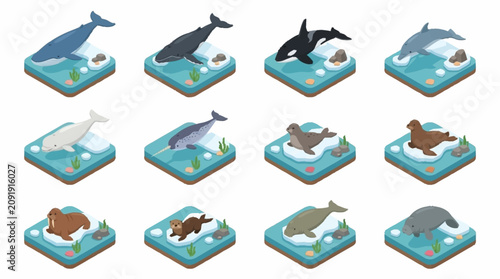 Obraz na plátně Colorful Isometric Whale and Dolphin Collection.