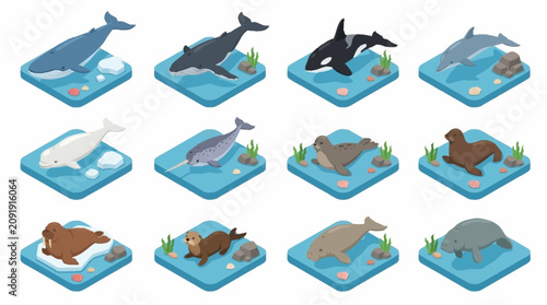 Canvastavla Isometric Whale and Dolphin Collection in Ocean Scene.
