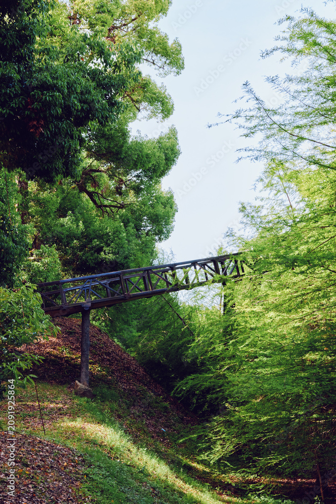 Naklejka premium Bridge, forest, trees, green, footbridge, foliage - Narrow metal footbridge crossing a shaded woodland ravine, lush green trees and leafy undergrowth on a peaceful trail in spring light.