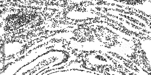 Fotografie Monochrome vector abstract topography line texture