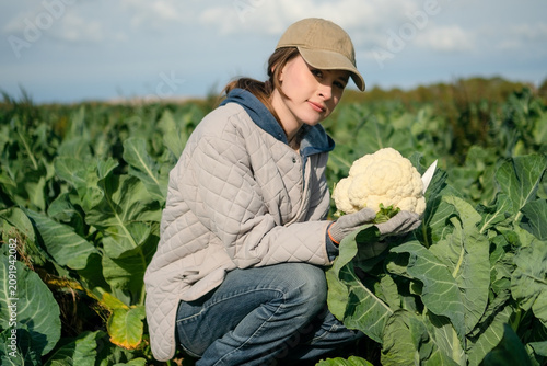 Obraz na plátně A teen girl crouches holding cauliflower in a green field, examining the harvest with curious wonder