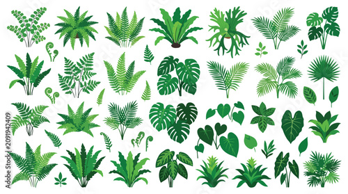 Tropical green leaves collection, exotic jungle foliage vector set, botanical palm and monstera leaf illustrations for summer design