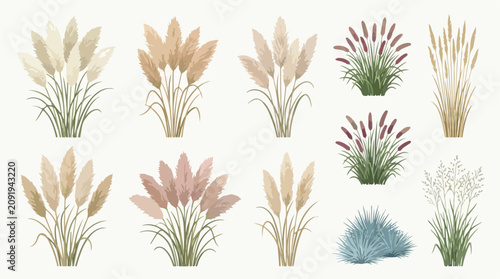 Bohemian pampas grass vector set, 10 botanical dried floral elements, elegant watercolor style ornamental grasses for wedding invitations and decor