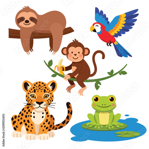 Photography Tropical jungle animals and rain forest wildlife set