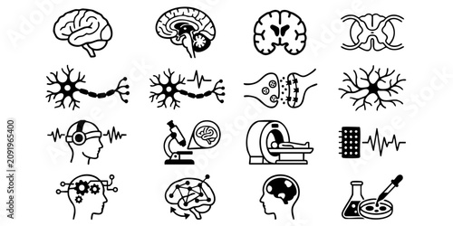 Brain and neuron illustrations showcase various science and medical concepts.