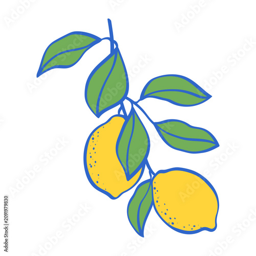 Hand drawn vertical Amalfi lemon branch with two ripe fruits and green leaves. Mediterranean inspired citrus illustration in a decorative Italian style for prints labels menus and branding.