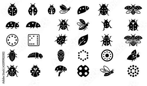 Konstfotografi Vector illustration set of ladybug life cycle icons ladybird beetles larvae pupa